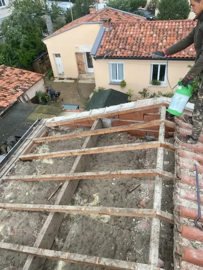 Artisan appliquant un traitement sur une charpente ancienne après la dépose des tuiles