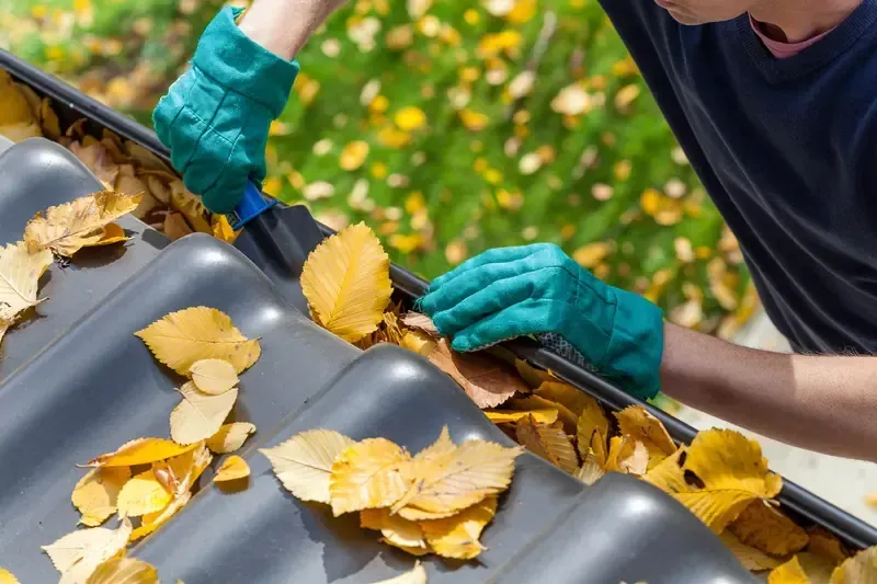 Retrait manuel de feuilles mortes dans une gouttière avec des gants de protection