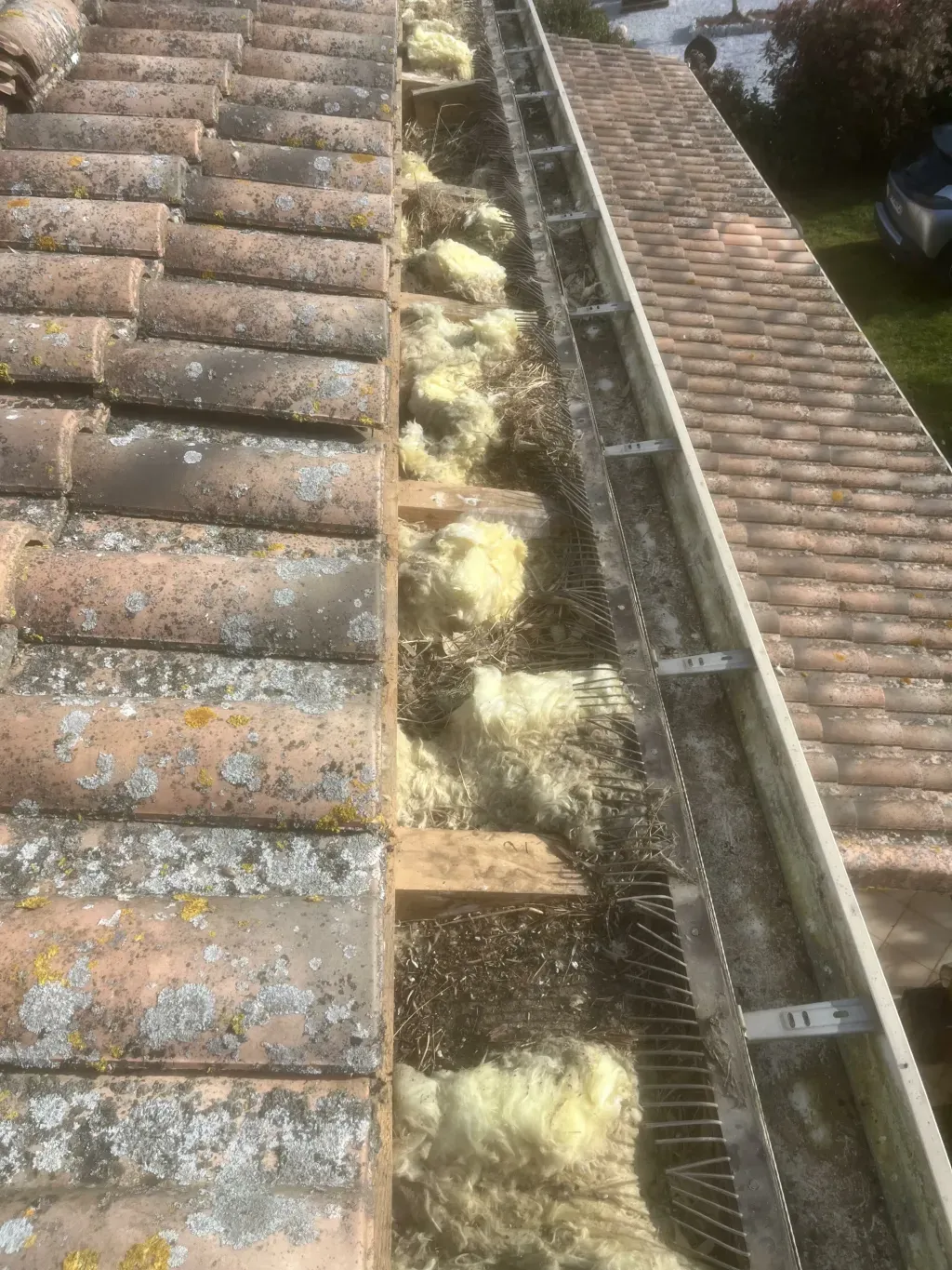 Rive de toiture ouverte avec isolant, liteaux et grille anti-oiseaux près de la gouttière