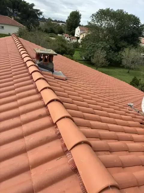 Toiture en tuiles de terre cuite avec faîtage et souche de cheminée dans un environnement arboré